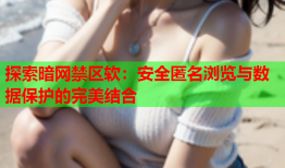 探索暗网禁区软：安全匿名浏览与数据保护的完美结合