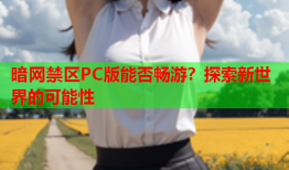 暗网禁区PC版能否畅游？探索新世界的可能性