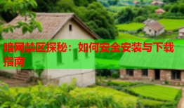 暗网禁区探秘：如何安全安装与下载指南