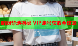 暗网禁地揭秘 VIP账号获取全攻略