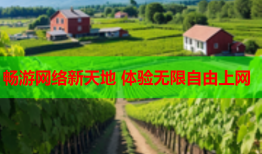 畅游网络新天地 体验无限自由上网