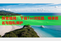 探索暗网：下载Tor浏览器，畅享匿名与隐私保护