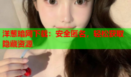 洋葱暗网下载：安全匿名，轻松获取隐藏资源