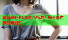 暗网禁区PC版能否畅游？探索新世界的可能性