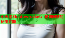 小火箭Shadowrocket：畅游网络的秘密武器