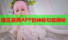 暗区禁网APP的神秘功能揭秘