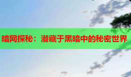 暗网探秘：潜藏于黑暗中的秘密世界