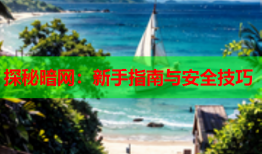 探秘暗网：新手指南与安全技巧