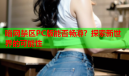 暗网禁区PC版能否畅游？探索新世界的可能性