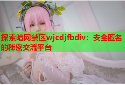 探索暗网禁区wjcdjfbdiv：安全匿名的秘密交流平台