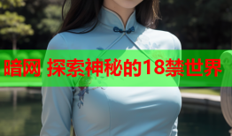 暗网 探索神秘的18禁世界