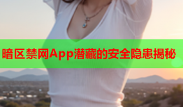 暗区禁网App潜藏的安全隐患揭秘