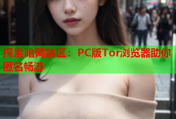 探索暗网禁区：PC版Tor浏览器助你匿名畅游