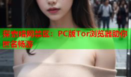 探索暗网禁区：PC版Tor浏览器助你匿名畅游