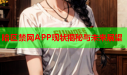 暗区禁网APP现状揭秘与未来展望