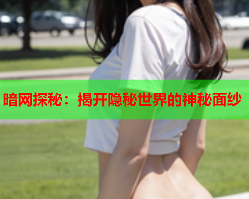 暗网探秘：揭开隐秘世界的神秘面纱