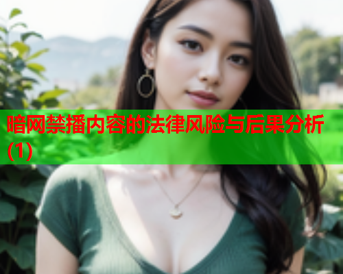 暗网禁播内容的法律风险与后果分析(1)