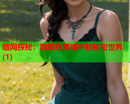 暗网探秘：隐藏在黑暗中的秘密世界(1)