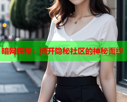 暗网探秘：揭开隐秘社区的神秘面纱