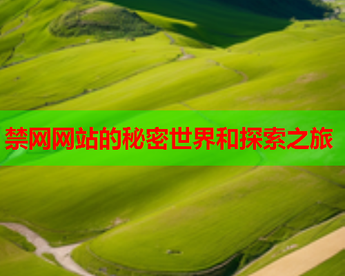 禁网网站的秘密世界和探索之旅