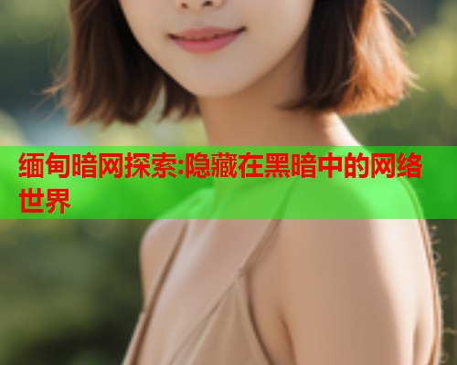 缅甸暗网探索:隐藏在黑暗中的网络世界