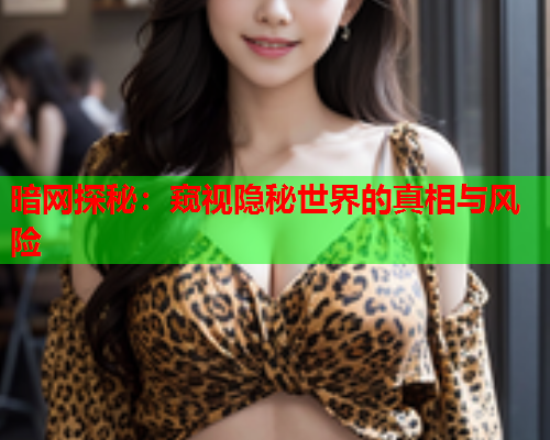 暗网探秘：窥视隐秘世界的真相与风险