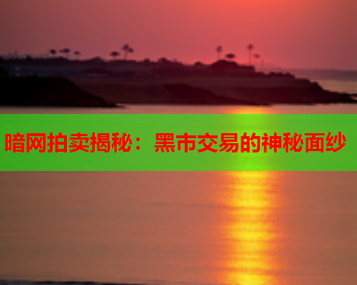 暗网拍卖揭秘：黑市交易的神秘面纱