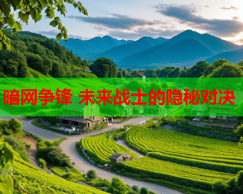 暗网争锋 未来战士的隐秘对决