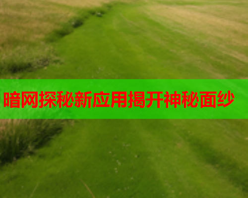 暗网探秘新应用揭开神秘面纱