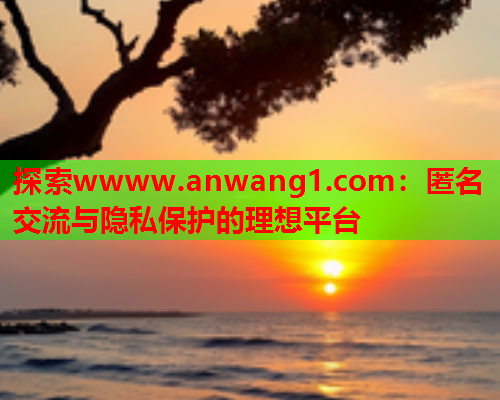 探索wwww.anwang1.com：匿名交流与隐私保护的理想平台