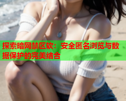 探索暗网禁区软：安全匿名浏览与数据保护的完美结合