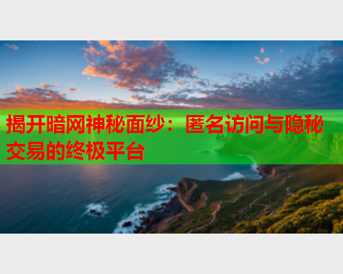 揭开暗网神秘面纱：匿名访问与隐秘交易的终极平台