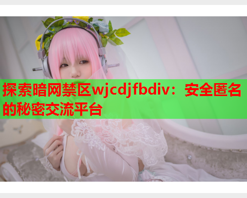 探索暗网禁区wjcdjfbdiv：安全匿名的秘密交流平台