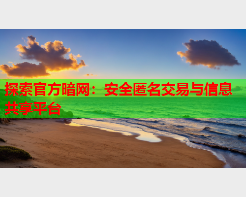 探索官方暗网：安全匿名交易与信息共享平台