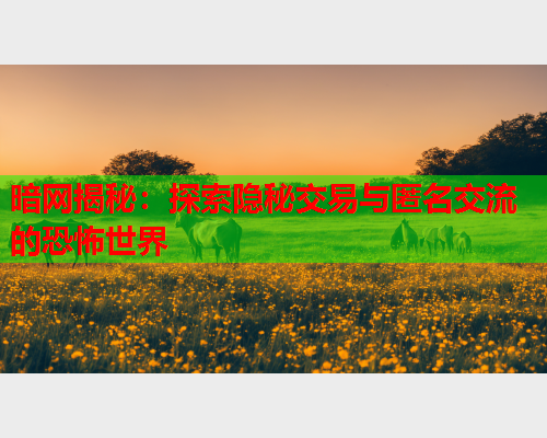 暗网揭秘：探索隐秘交易与匿名交流的恐怖世界