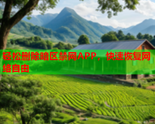 轻松删除暗区禁网APP，快速恢复网络自由